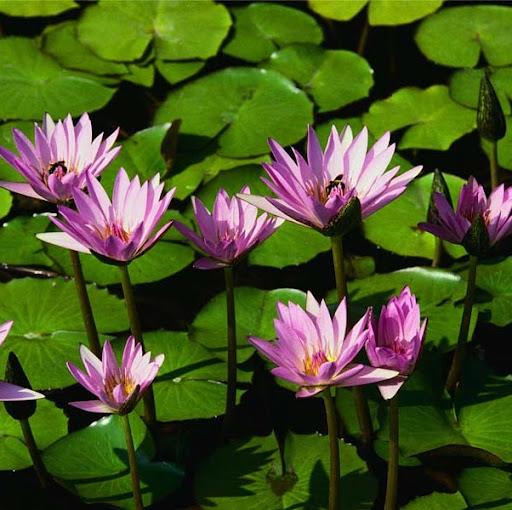 Chris Tseng Photo 18