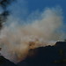 Donna Sayers Photo 25