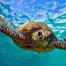 Renee Barker Photo 23