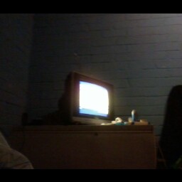 Shaun Gallagher Photo 14 Shaun Gallagher Photo 14