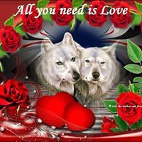 Paula Blackmore Photo 3