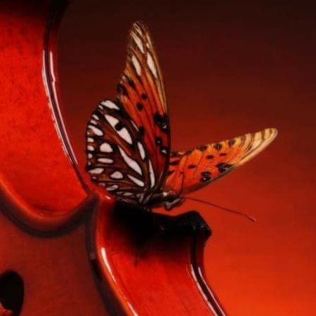 Brittany Wilson Photo 10