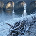 Juliet Winter Photo 5
