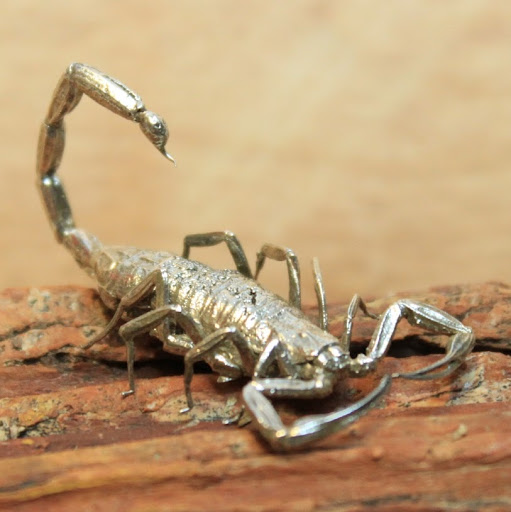 Gina Townsend Photo 25