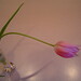 Alice Hudson Photo 33