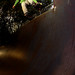 Richard Manning Photo 20