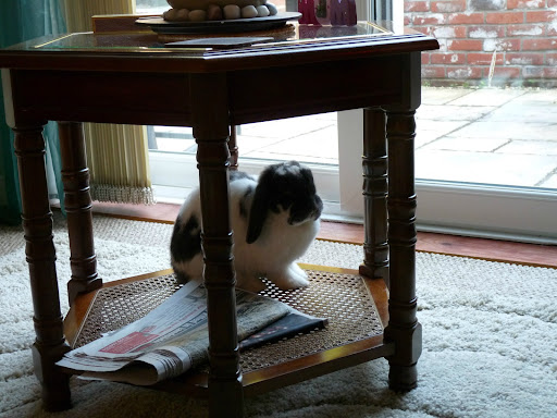 Jane Fitzgerald Photo 28