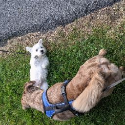 Alexander Jenkins Photo 36