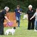 Lynne Davies Photo 14