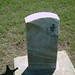 David Gwin Photo 27