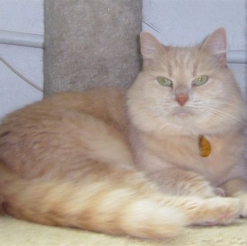 Linda Bean Photo 22