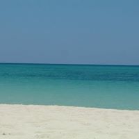 Charles Weinstein Photo 36