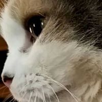 Michelle Hurlbert Photo 2