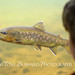 Benjamin Nagle Photo 20