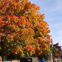 Lorraine Wagner Photo 23