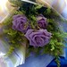 Joanne Rose Photo 29