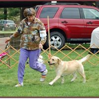 Nancy Scholz Photo 8