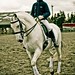 Daniel Golding Photo 33