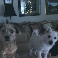 Carol Jackson Photo 29