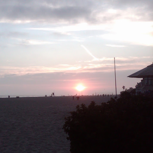 Jesse Torres Photo 40