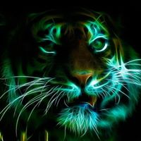 Jeffery Rath Photo 2