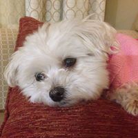 Mary Kittell Photo 3