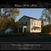 Sharon Mills Photo 2