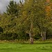 Robert Fleck Photo 27