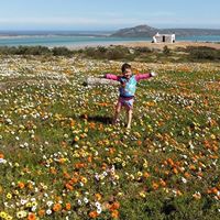 Stephen Lange Photo 17