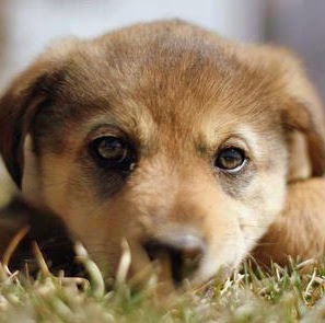 Janet Leach Photo 41