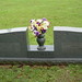 Jerry Ledbetter Photo 31