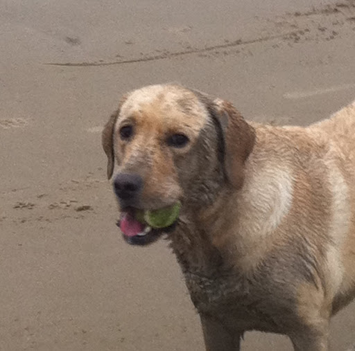 Kathryn Clarke Photo 26