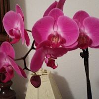 Geneva Bryant Photo 5