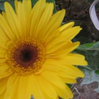 Michaela Tuttle Photo 6