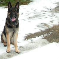 Irene Phillips Photo 41