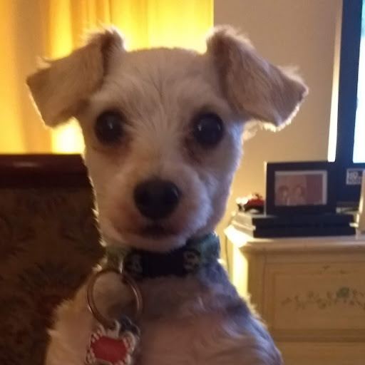 Paula Lancaster Photo 10