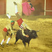Manuel Cordero Photo 30
