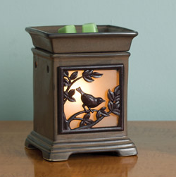 Shannon Rollins Photo 16 Shannon Rollins Photo 16