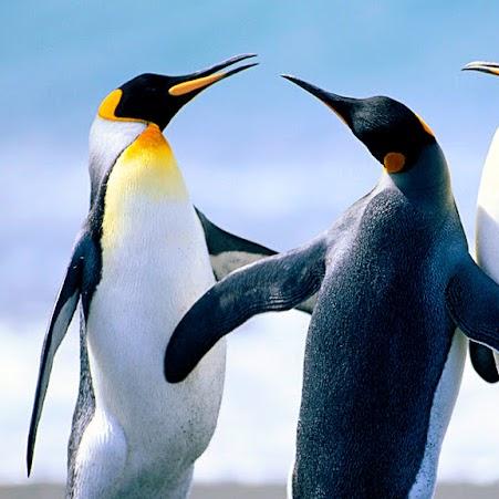 Julie Henson Photo 32