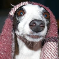 Rose Justice Photo 7