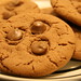 Joe Butters Photo 15