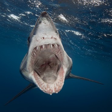 Richard Everson Photo 24