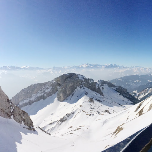 Megan Flores Photo 13