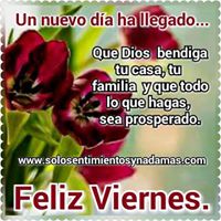 Julia Villegas Photo 27