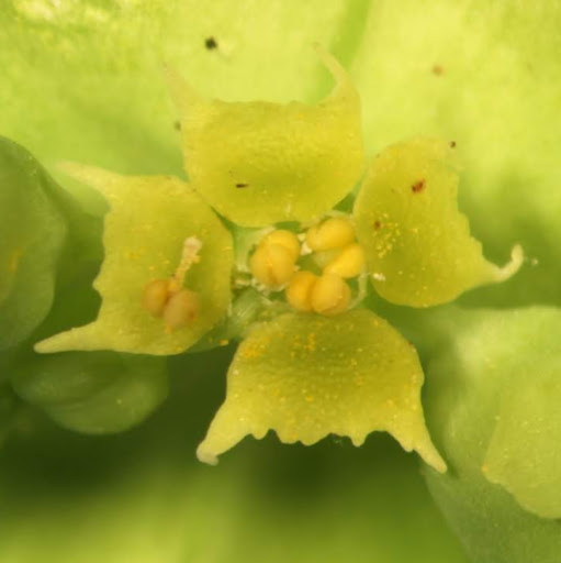 Mark Mayfield Photo 25 Mark Mayfield Photo 25