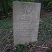 Cynthia Ayres Photo 28