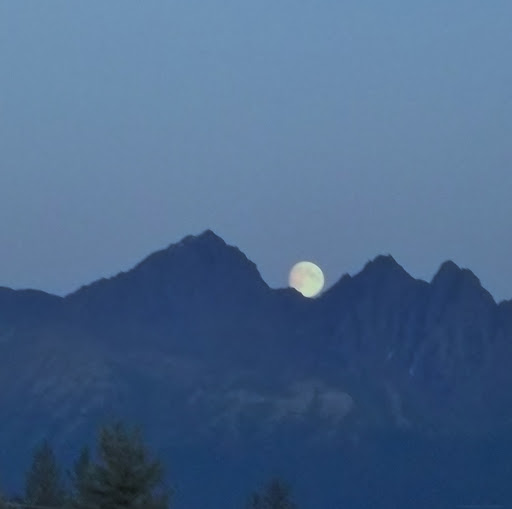 Vicky Watson Photo 9