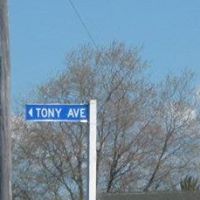 Tony Clements Photo 33