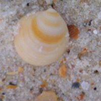 Karen Rodgers Photo 22