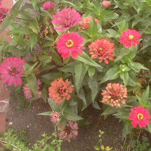 Anne Starkey Photo 6